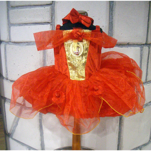 Vestito carnevale - vestito,
