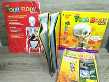 VINTAGE How Your Body Works