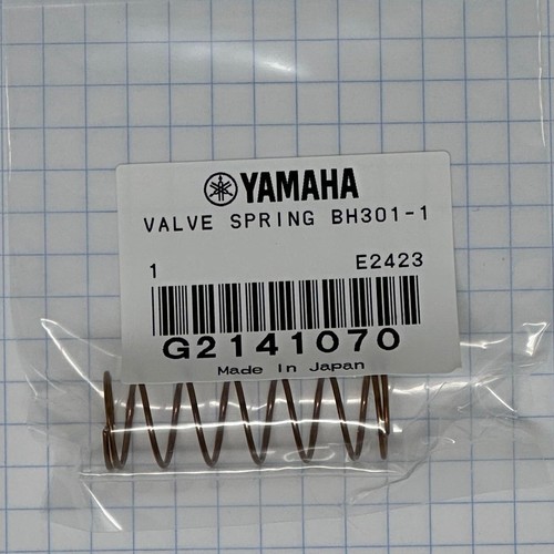 Molle valvola yamaha - yamaha, marching
