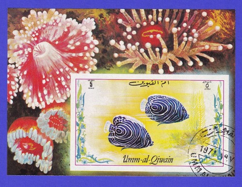 1971 pesci tropicali foglio - tropicali,
