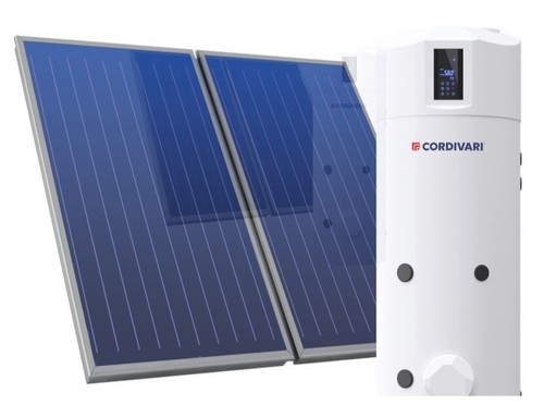 Cordivari bollyterm net - cordivari,