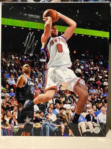 Foto firmata danilo gallinari - firmata,