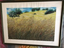 Franco Azzinari - " Campo di