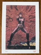 — Milo Manara: “MARVEL