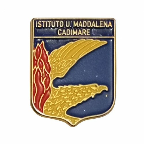 Distintivo aeronautica - distintivo,