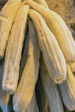 Zucca spugna - Luffa