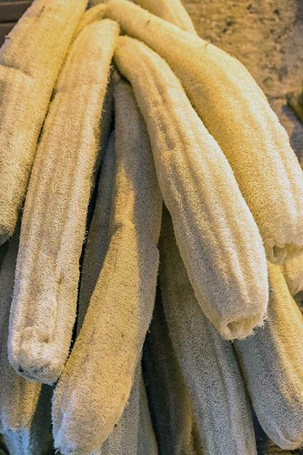 Zucca spugna luffa - -,