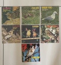 Il Canto degli Uccelli: Lotto