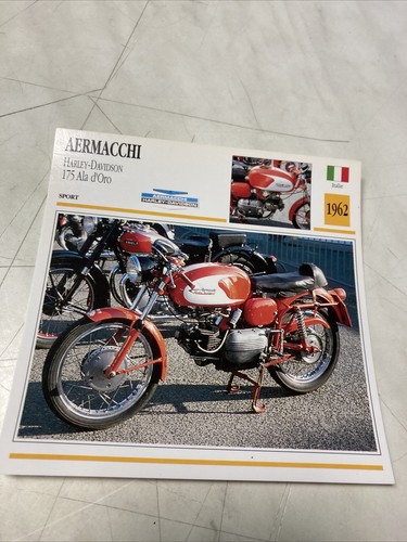 Aermacchi 175 ala oro - 175, d'oro