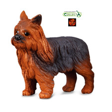 Yorkshire Terrier Yorkie Dog
