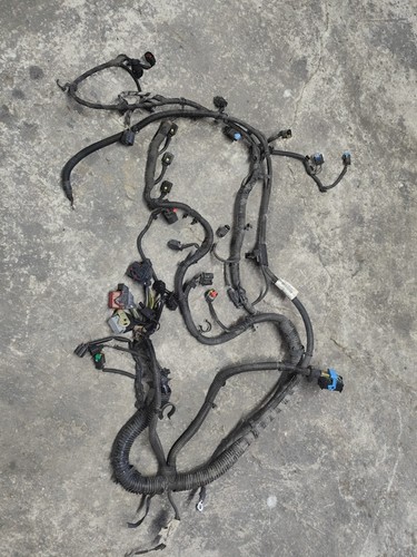 Cablaggio completo motore ford - cablaggio,