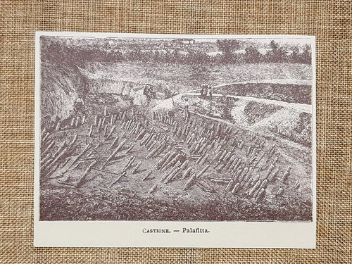 Terramara castione marchesi - terramara, di