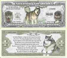 Alaskan Malamute Dog Lover