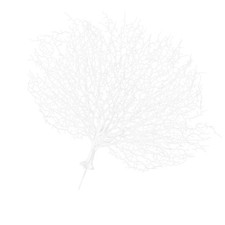  Decorazione Corallo Di Finto