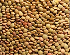 LENTICCHIE MIGNON, Eccezionale