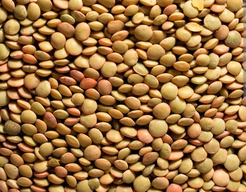 Lenticchie mignon eccezionale - lenticchie,