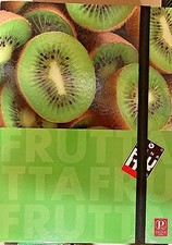 Raccoglitore cartellina