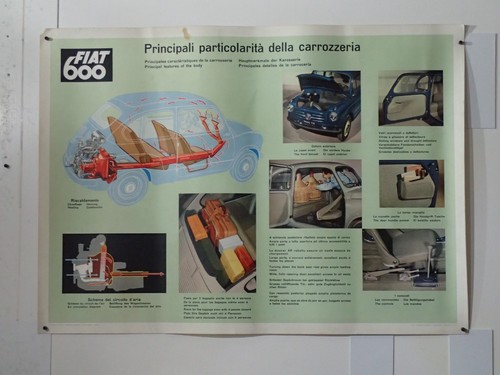 Fiat 600 edizione arnoldo - ,