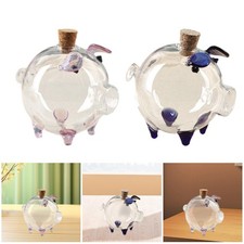 Salvadanaio trasparente