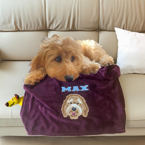 Coperta cane personalizzata