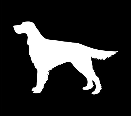 Adesivo irlandese setter
