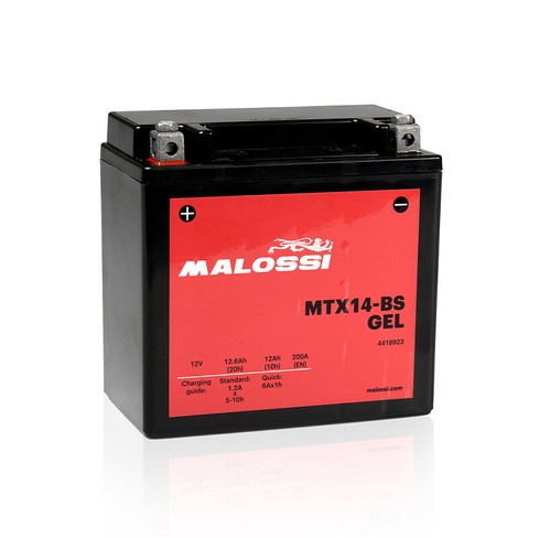 Ytx14 batteria malossi - ytx14-bs,
