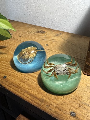 Coppia fermacarte sfera - , resina