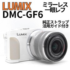 Cinghia LUMIX DMC GF6 usata