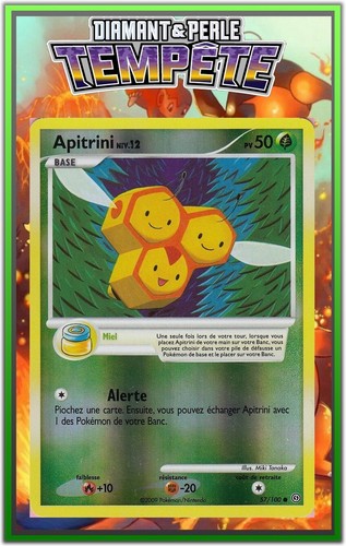 Apitrini reverse - apitrini,