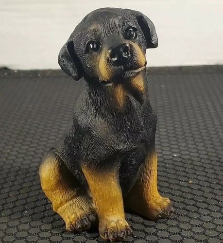 Animal rottweiler puppy - animal,