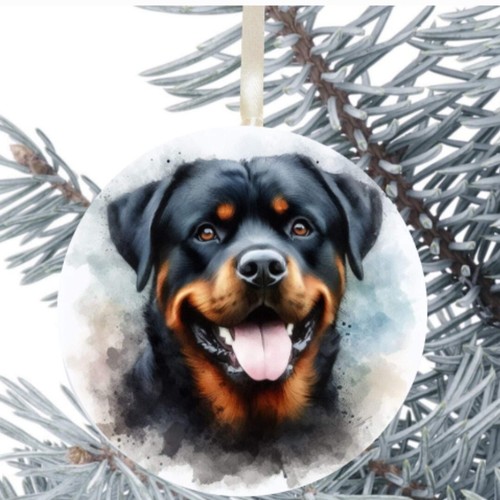 Rottweiler cucciolo cane - cucciolo,