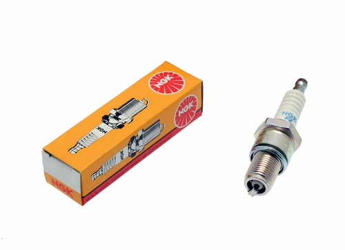 Candela standard ngk - ngk,