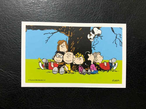 Figurina peanuts coop - peanuts,