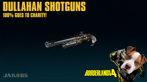 Lvl borderlands fucili - lvl, 4