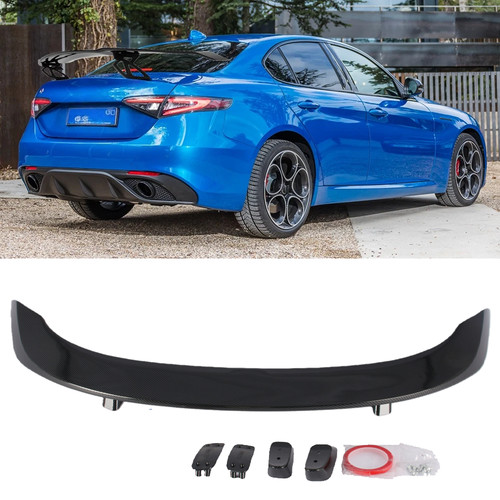 Carbon fiber rear - fiber,
