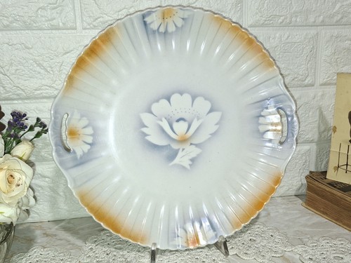 Elegante piatto vintage cucina - elegante,