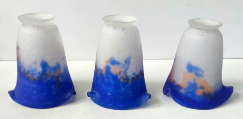 Tulipani vetro blu e - vetro,