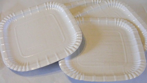 250 piatti pizza panino di - 250,
