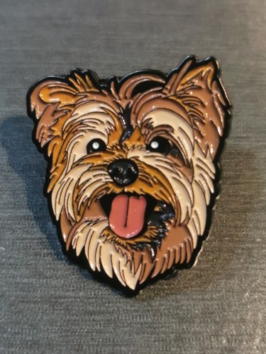 Yorkshire terrier dog chien - terrier,