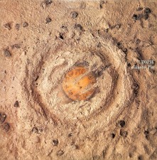 Giusto Pio – Utopie - LP