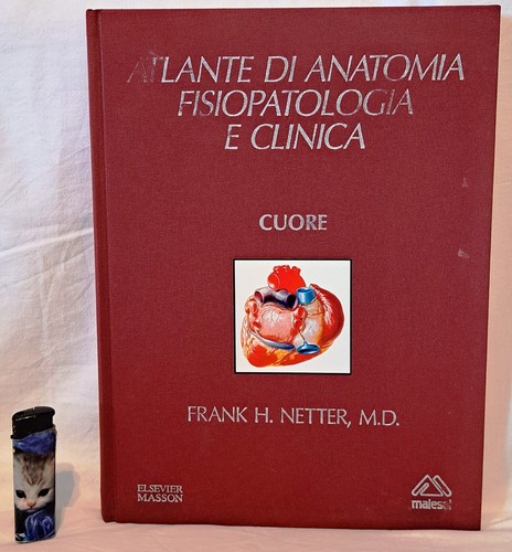 Netter atlante di - f., h.