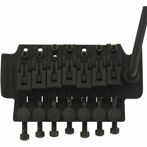 Floyd rose frtsss2000s - rose,