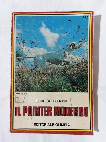 Pointer moderno felice - il,
