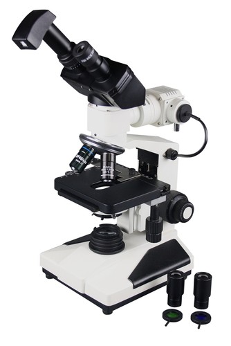 Radical 1200x professionale - radical,
