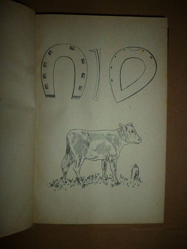 Trattato veterinaria sunto - di,