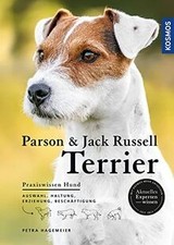 Parson und Jack Russell
