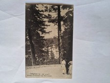 Cartolina Cutigliano Veduta di