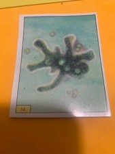 FIGURINA N. 14 ANIMALI