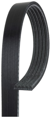 Gates 5pk885 cinghia poly - gates, poly-v