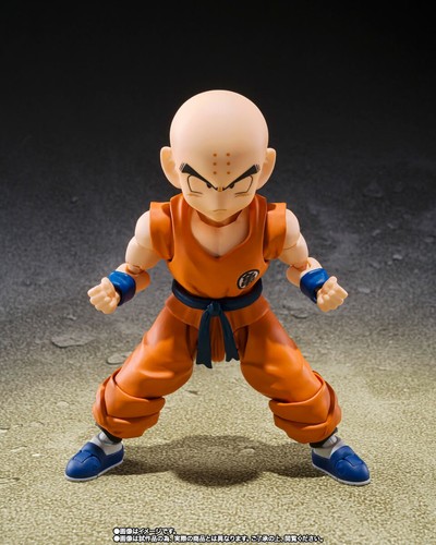 Krillin old friend sh - friend-.,